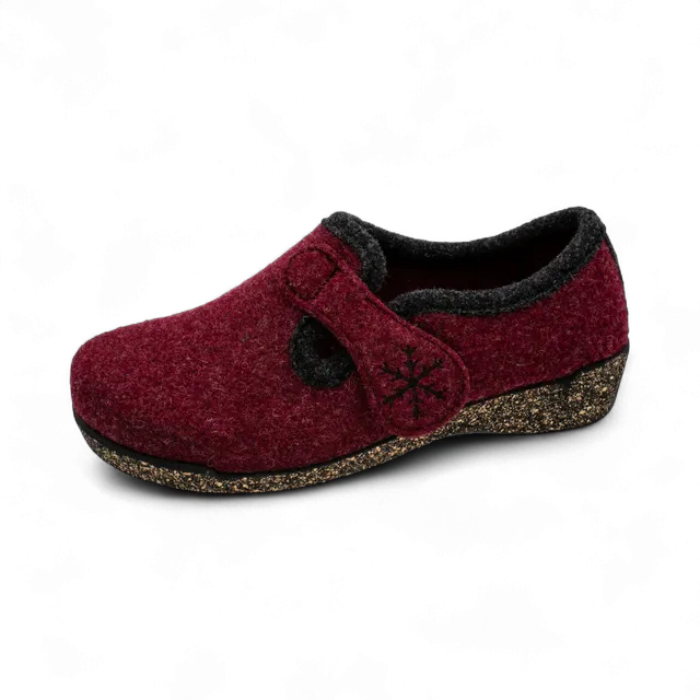 fischer-markenschuh-damen-h-tten-schuh-conny-205620 image 1